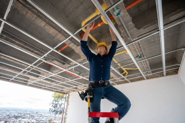 Best Emergency Plumber  in Springfield, FL