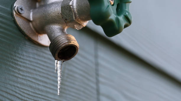 Best Drain Cleaning Services  in Springfield, FL
